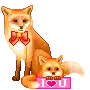 cute fox