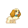 cute dog