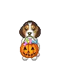 dog-halloween