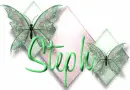 steph