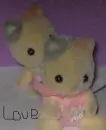 cute <3