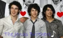 The Jonas Brothers