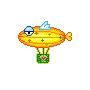 air balloon