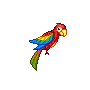 parrot