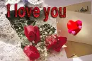 i love you