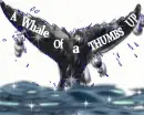 whale of a thumbs up