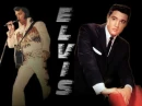 elvis