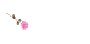 Rose Pen Light Pink - Yolanda