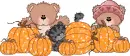 Bears with pumpkins