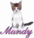 Cat-Mandy
