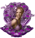 Seashell Fantasy