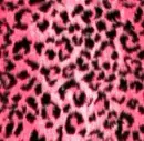 Pink Leopard