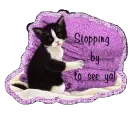 Stopping by to see ya