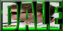 dale jr