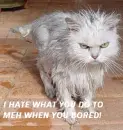 I hate you!