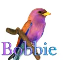 Bird-Bobbie