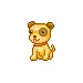cute puppy