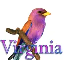 BIrd-Virginia