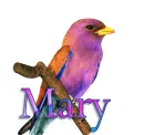 Bird-Mary