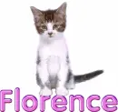 Cat-Florence