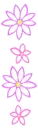 pink flowers