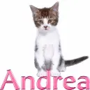 Cat-Andrea