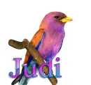 Bird-Judi