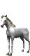 Horse/Pferd