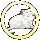 kitty...ring