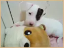 play time