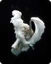 falling angel