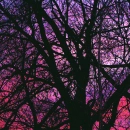 colourful sky