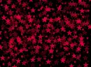 starrs