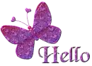 Hello Butterfly