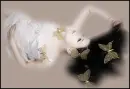 butterfly girl