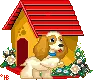 little puppy