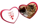 heart-cats-love-you