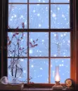 blue window