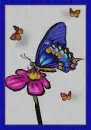 BLUE BUTTERFLY