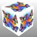 3D CUBE--BUTTERFLY