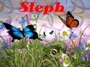 STEPH--BUTTERFLIES