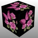 3D CUBE--BUTTERFLY