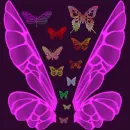 BUTTERFLIES