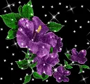 PURPLE FLOWERS