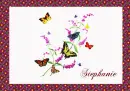 STEPHANIE--BUTTERFLIES