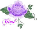 GIED