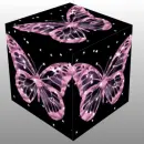 3D CUBE--BUTTERFLY