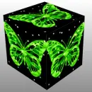 3D CUBE--GREEN BUTTERFLY