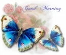 GOOND MORNING