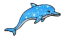 little Dolphin